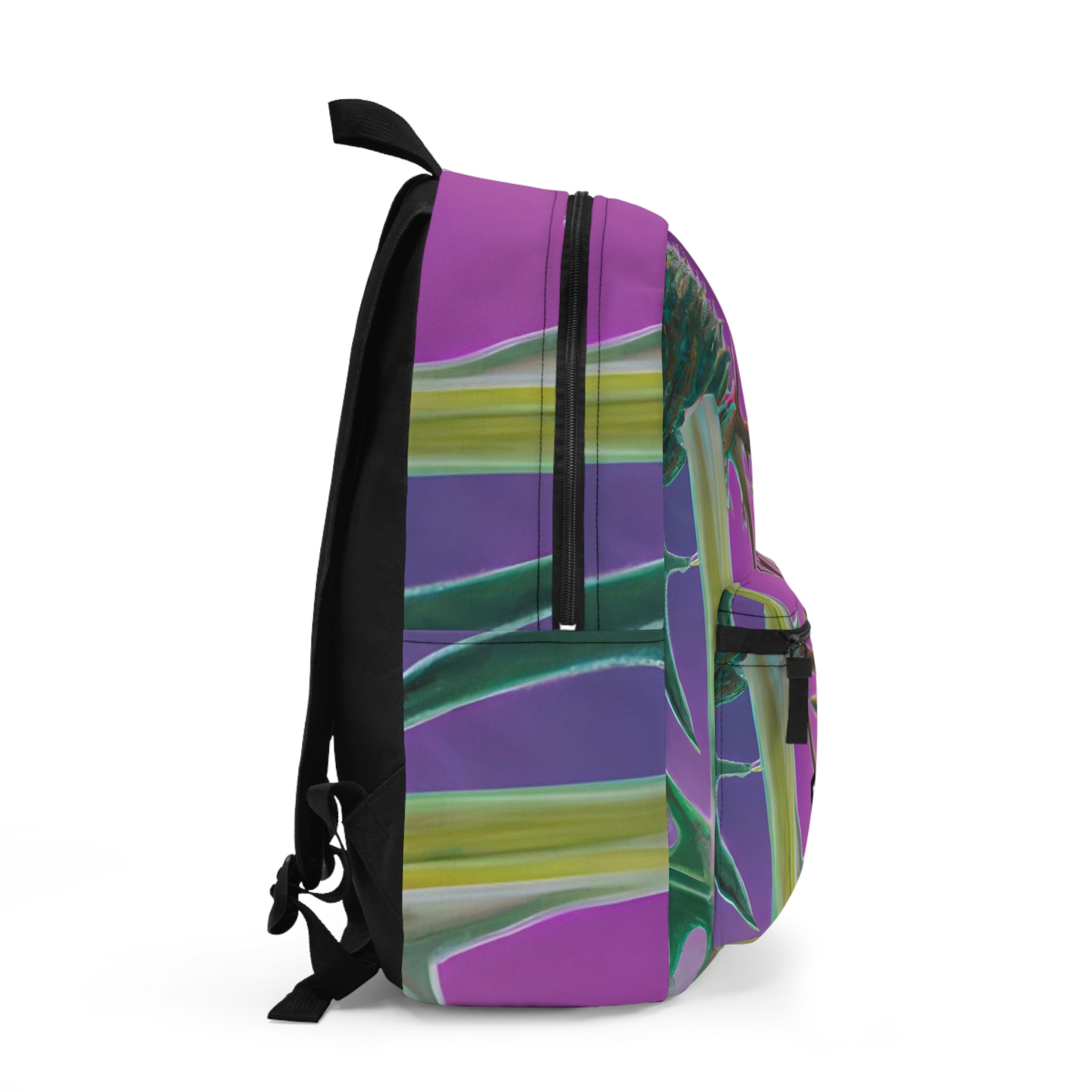 Auchtarkie. Backpack